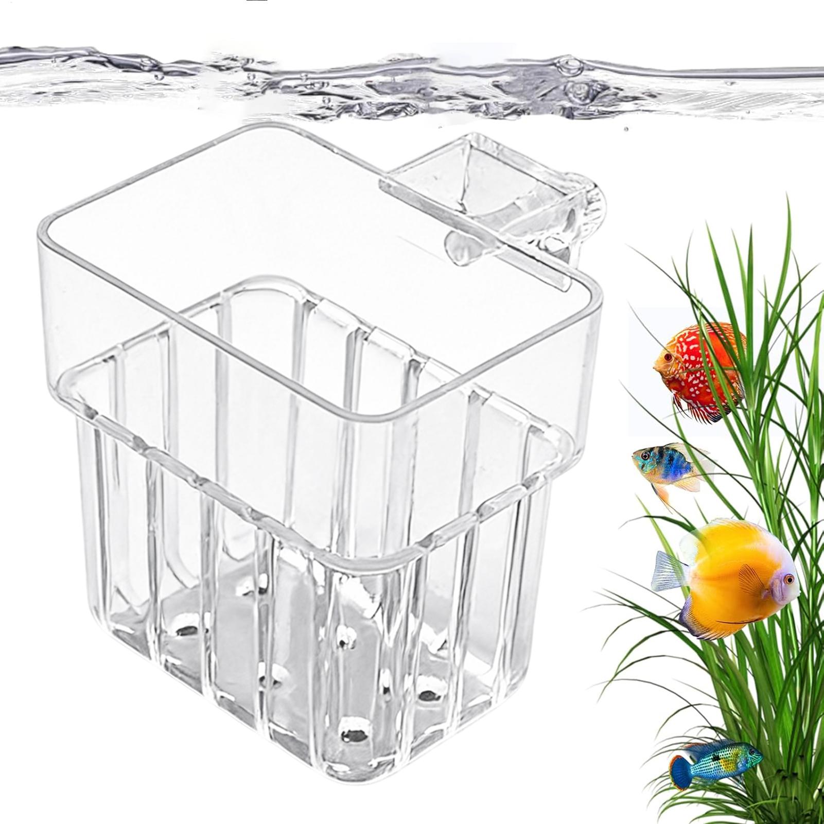 Transparent Hangable Aquarium  - Aquarium Plants Live review and price