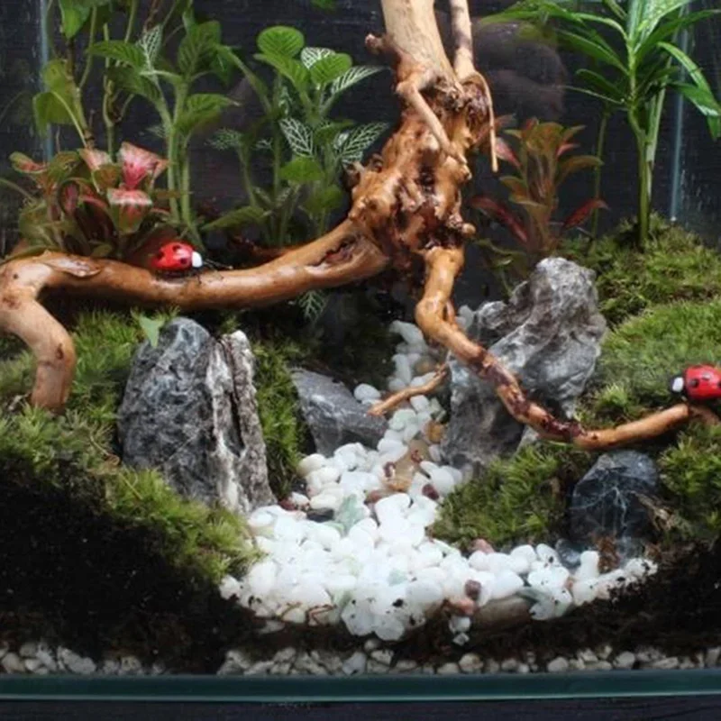 Natural Tree Trunk Driftwood A - Aquarium Plant Substrate review and price