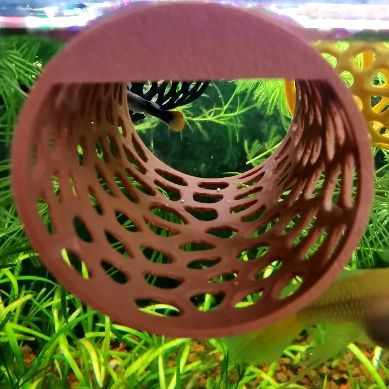 Floating Betta Hammock Tunnel, - Aquarium Plants Live review and price