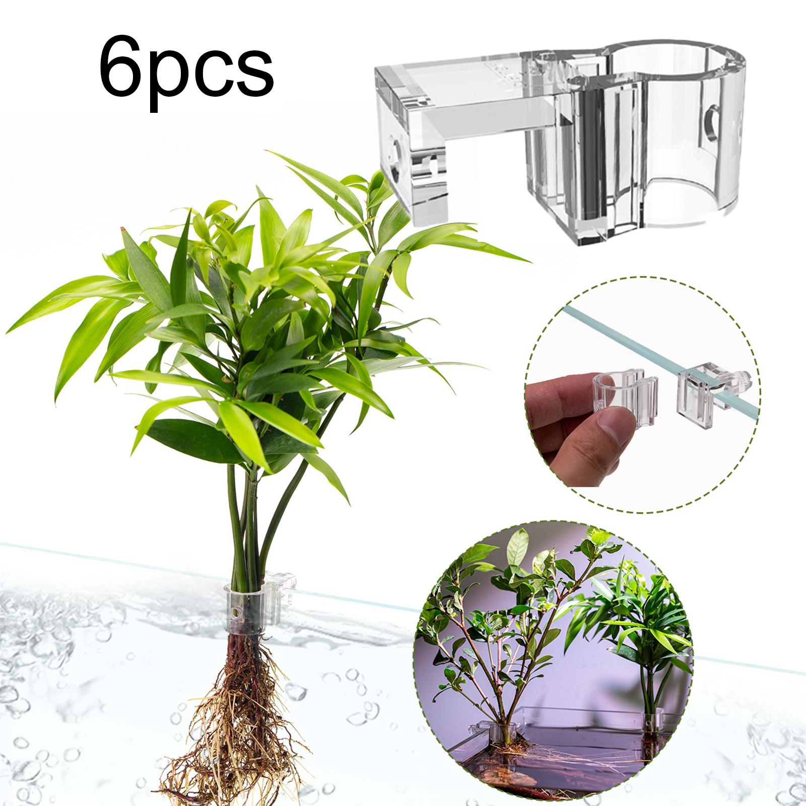 6Pcs Aquarium Plant Holder Sup - Aquarium Fertilizer review and price