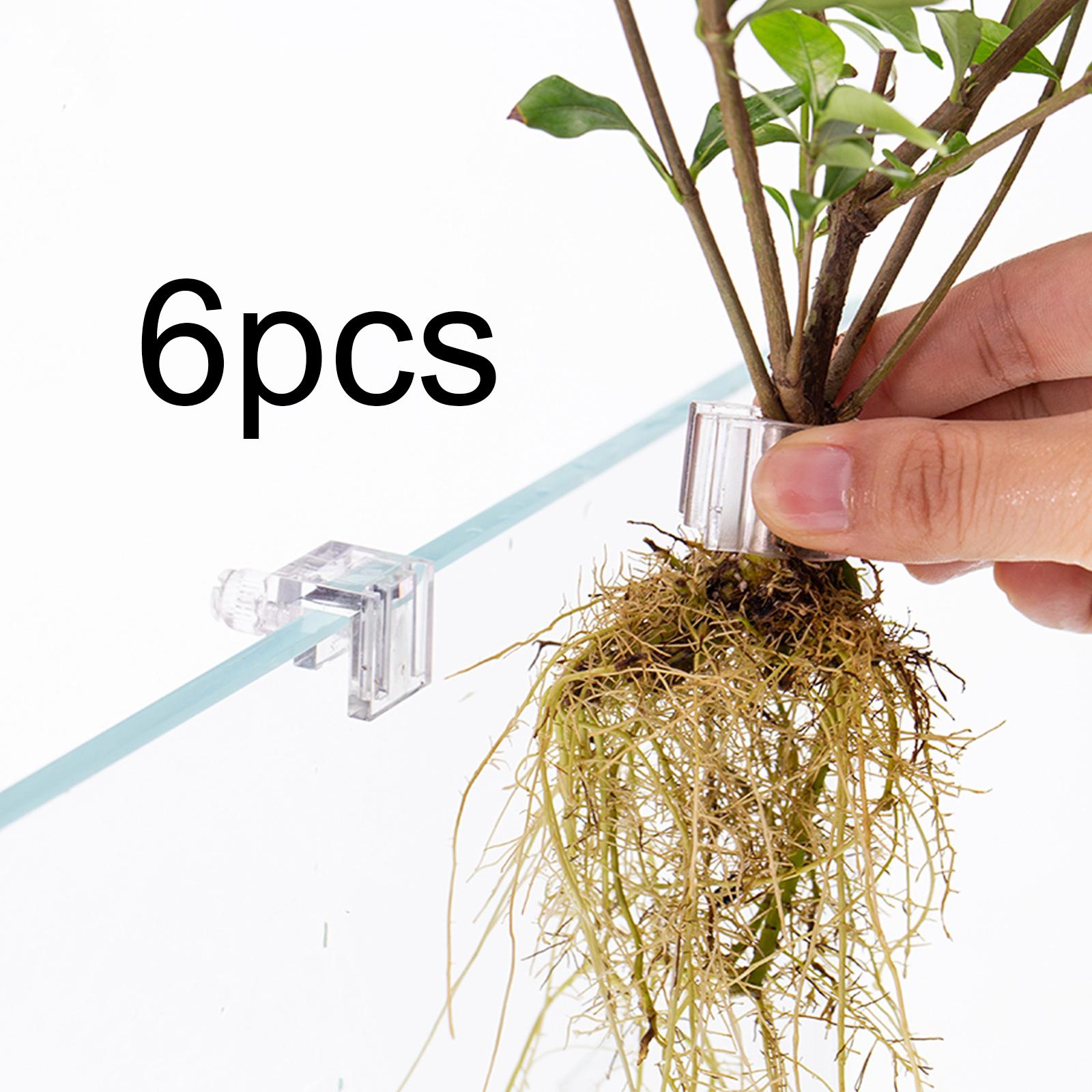 6Pcs Aquarium Plant Holder Sup - Aquarium Fertilizer review and price
