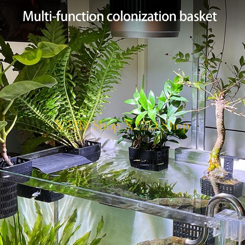 X22D Traditional Styles Vertic - Aquarium Plant Holder review and price
