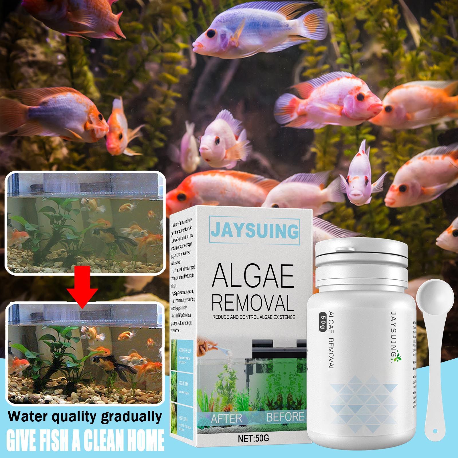 Aquarium Algae Remover Powder, - Aquarium Moss review and price