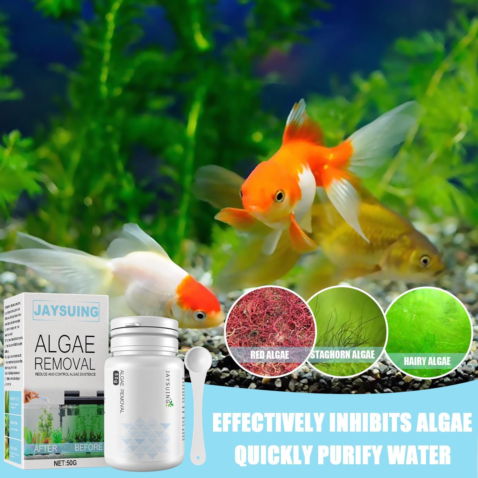 Aquarium Algae Remover Powder, - Aquarium Moss review and price