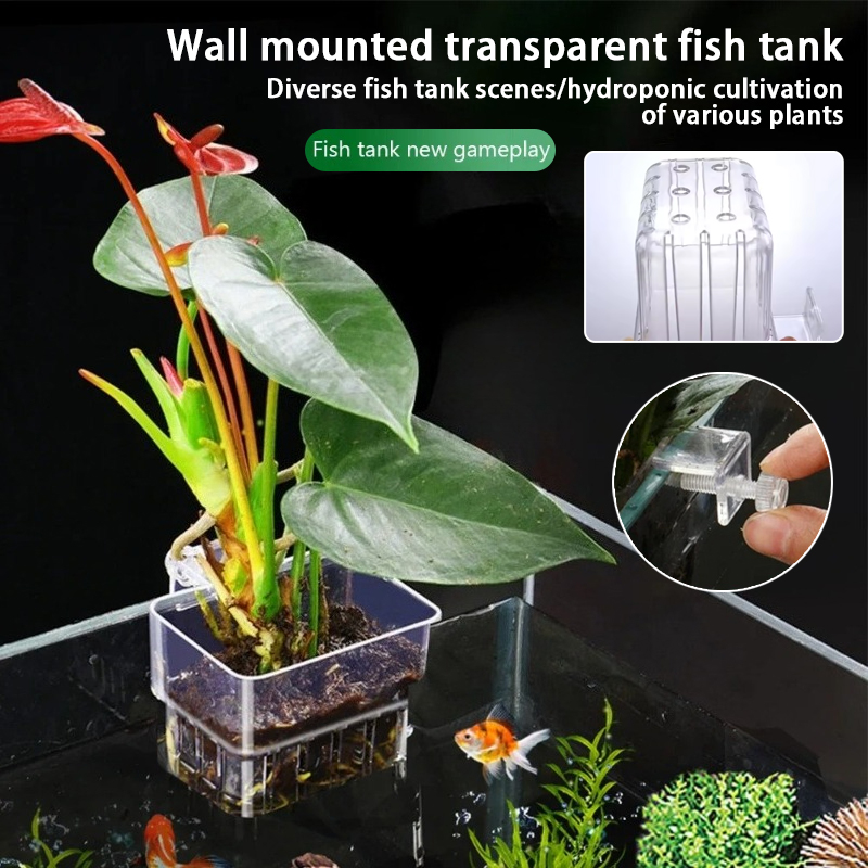 Aquarium Hanging Planter Cups  - Plant Aquarium Pot review and price