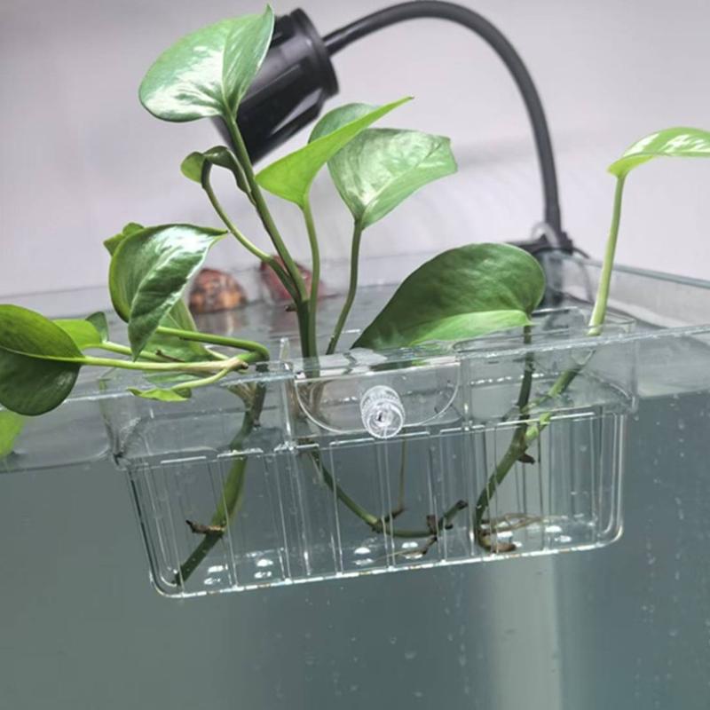 Hydroponic Plant Basket Food G - Planted Tank review and price
