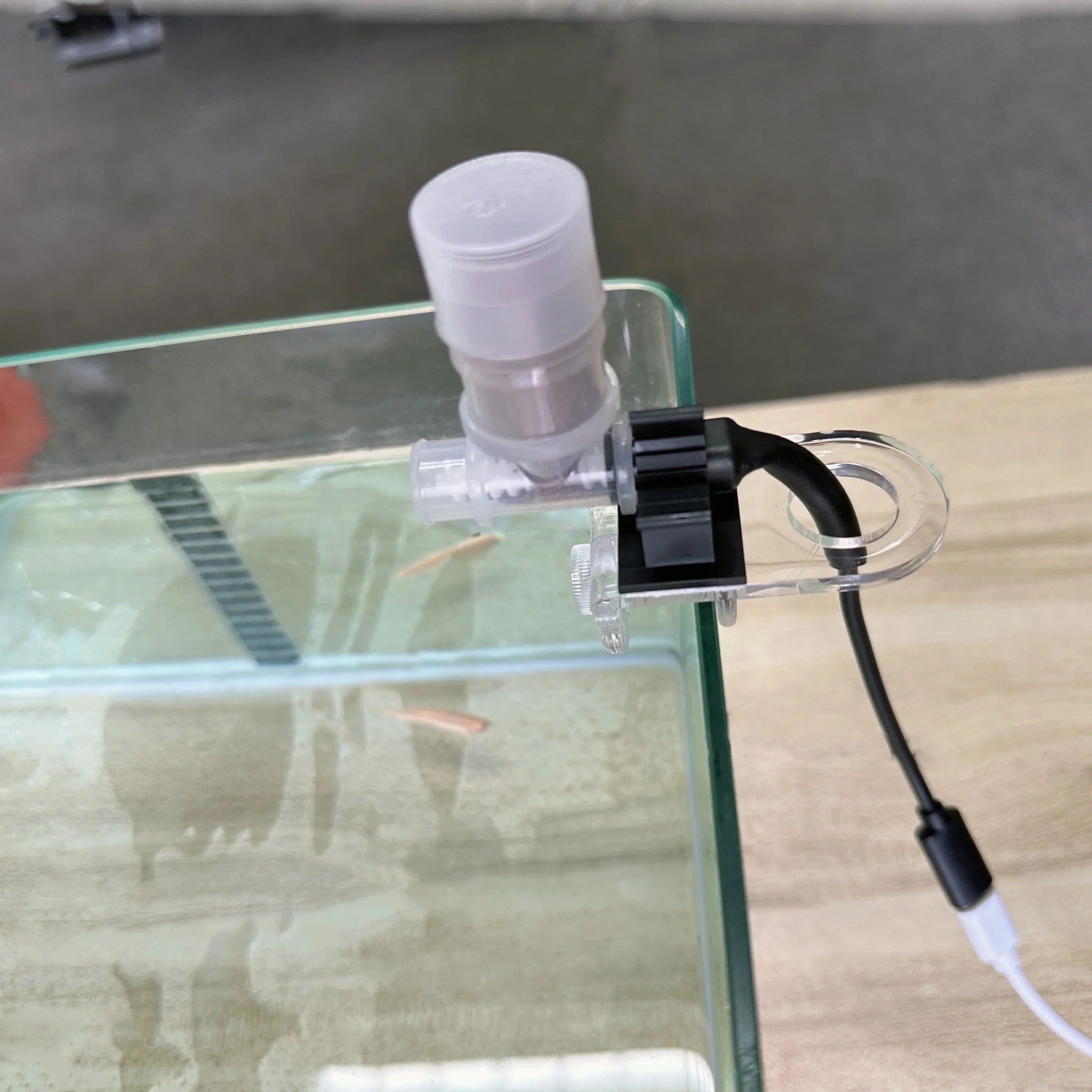 Best Automatic Fish Feeder - W - Aquarium Fertilizer review and price