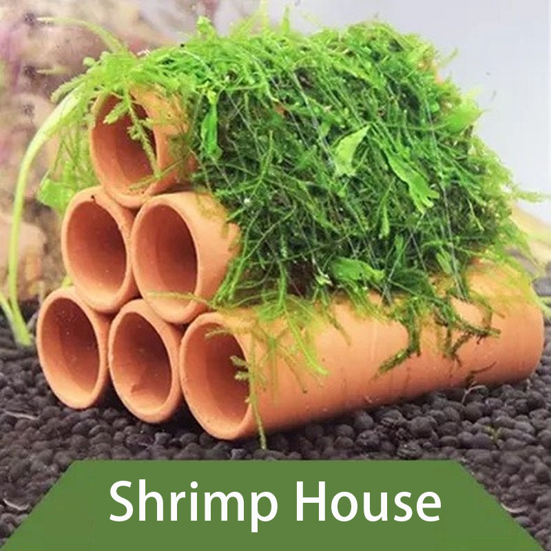 Clay Aquarium Decoration Fish  - Aquarium Plants Live review and price