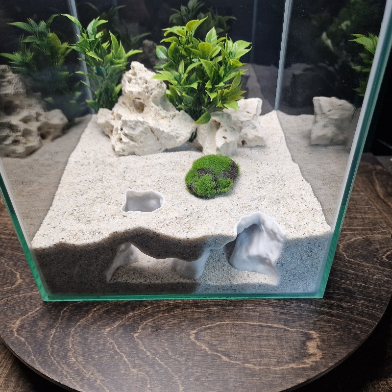 Premium 3D Print ShoreSand Aqu - Aquarium Driftwood review and price