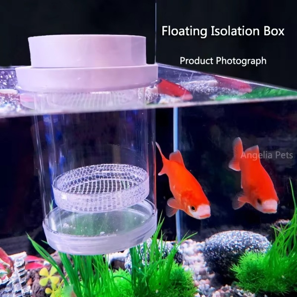Plastic Floating Fish Breeding - Aquarium Fertilizer review and price
