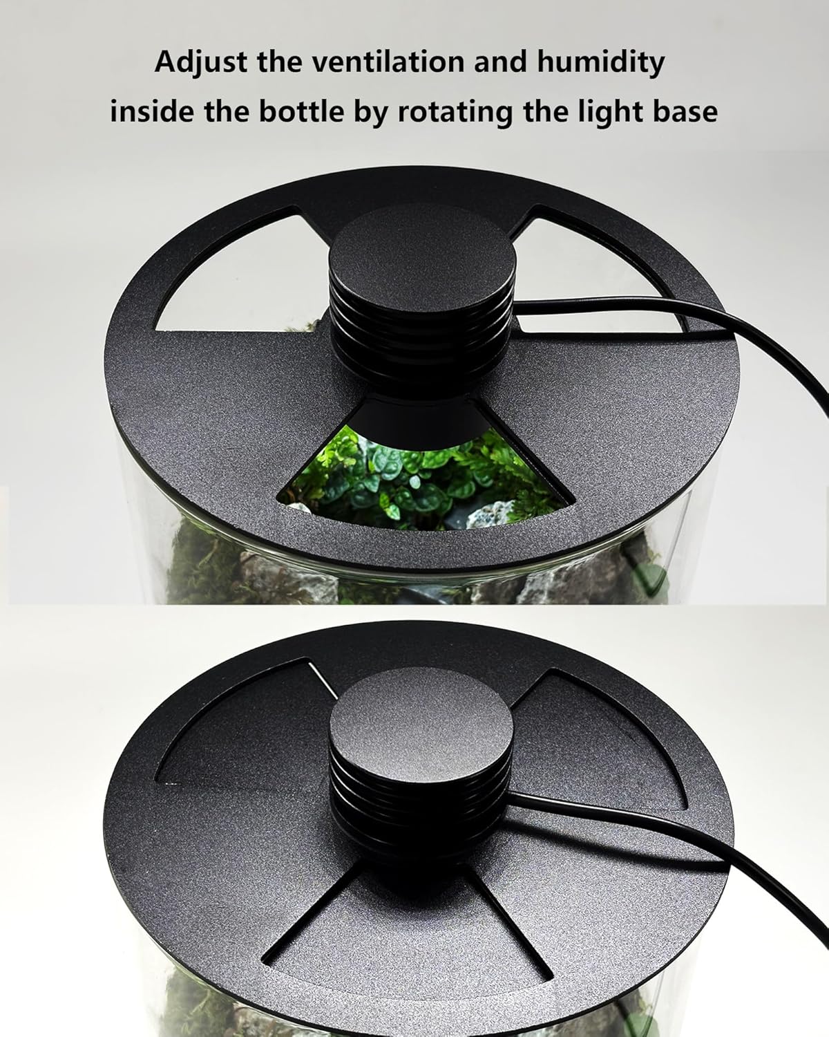 Indoor Glass Terrarium with Gr - Planted Tank review and price
