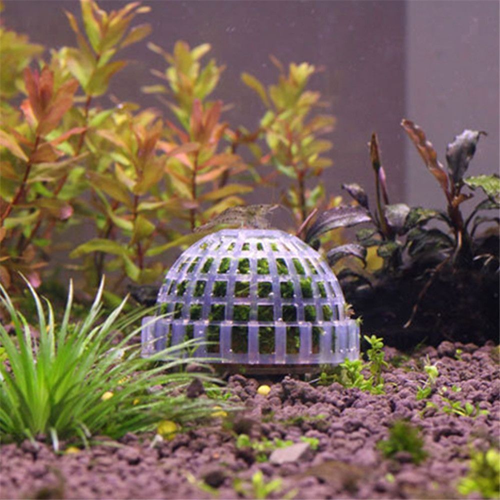 New Plastic Suspension Moss Do - Aquarium Plants Live review and price