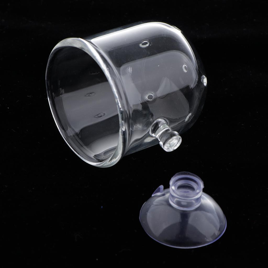 Fish Feeding Basket Glass Aqua - Live Plant Aquarium review and price